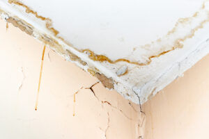 Rain water leaks